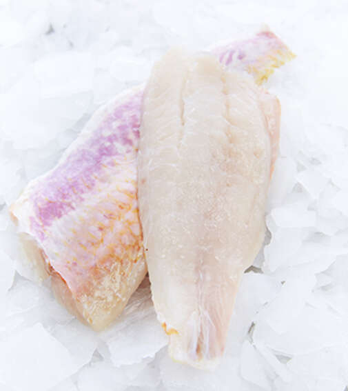 Fish processing - G�n�glace